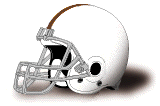 Adelphi Panthers helmet