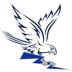 Air Force Falcons