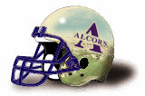 Alcorn State Braves helmet
