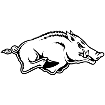 Arkansas Razorbacks