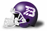 Bethel (TN) Wildcats helmet