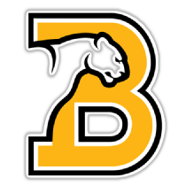 Birmingham-Southern Panthers