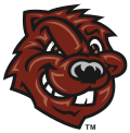 City College of New York Beavers