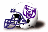 Central Arkansas Bears helmet