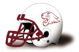 Concordia-Chicago Cougars helmet