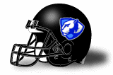 Eastern Illinois Panthers helmet