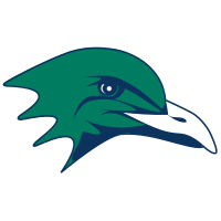 Endicott Gulls