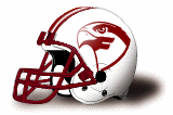 Fairmont State Falcons helmet