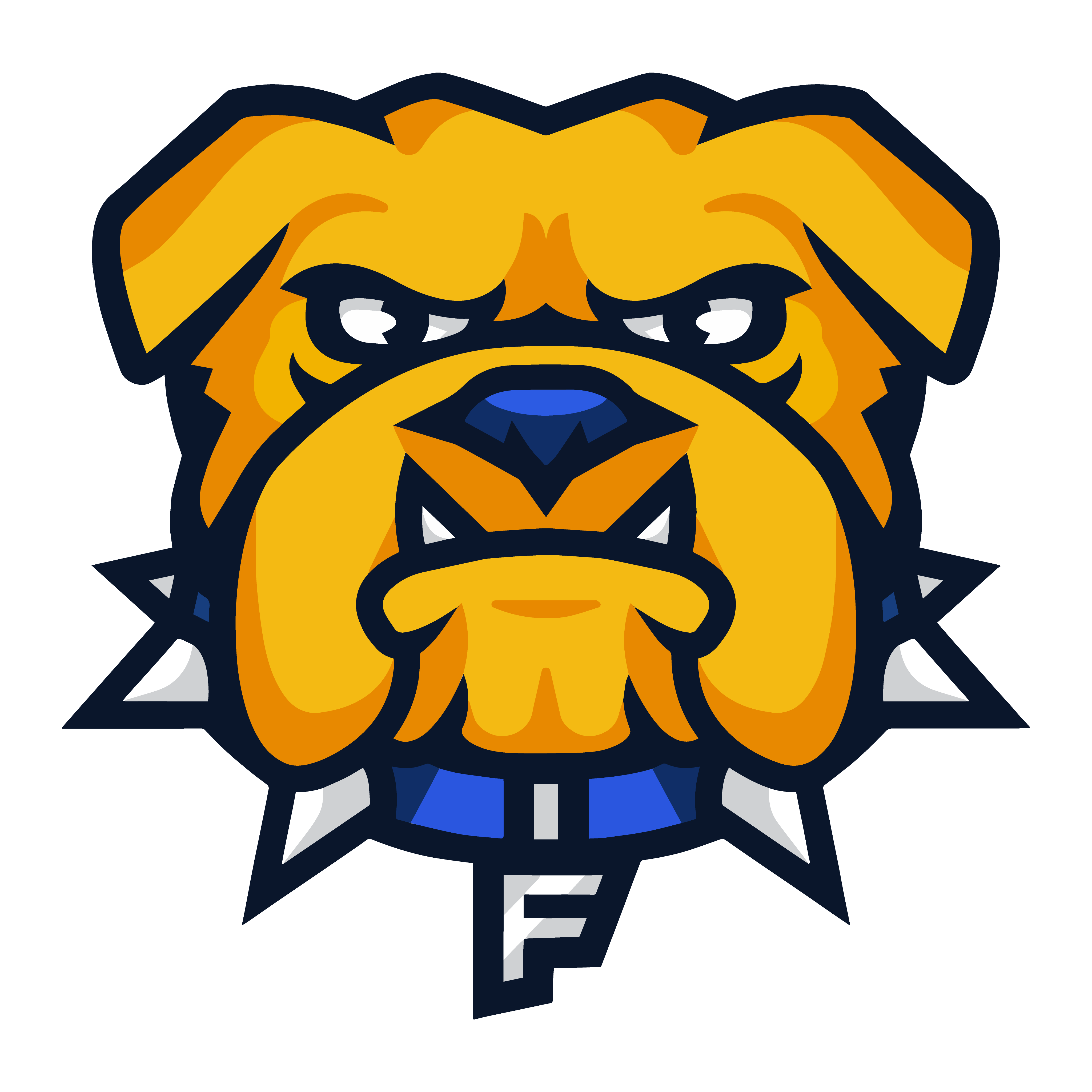 Fisk Bulldogs