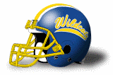 Fort Valley State Wildcats helmet