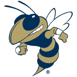 Georgia Tech Yellow Jackets