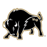 Harding Bisons