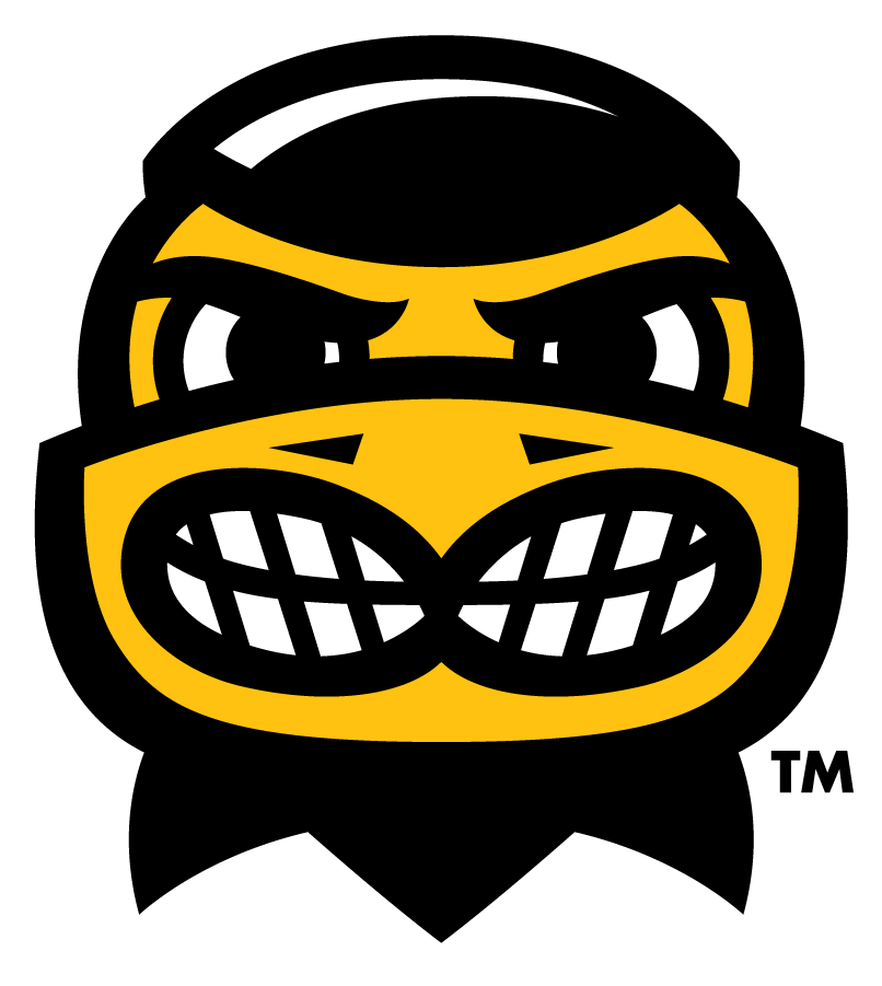 Iowa Hawkeyes