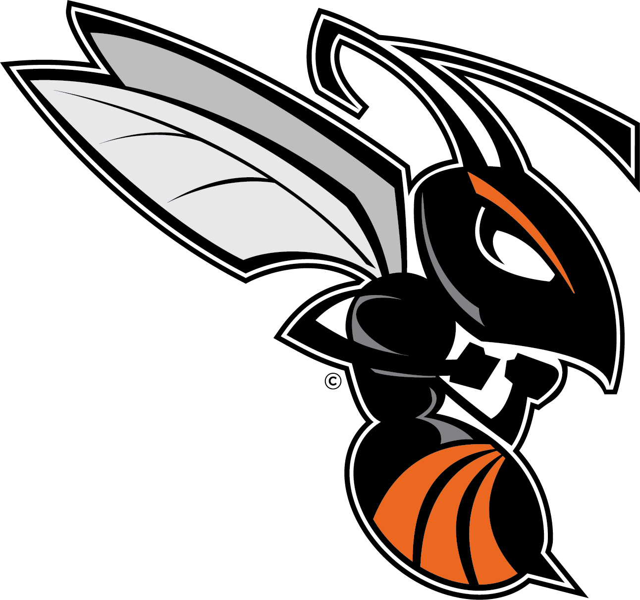 Kalamazoo Hornets