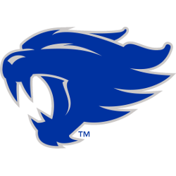 Kentucky Wildcats