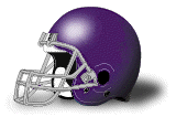 Kentucky Wesleyan Panthers helmet