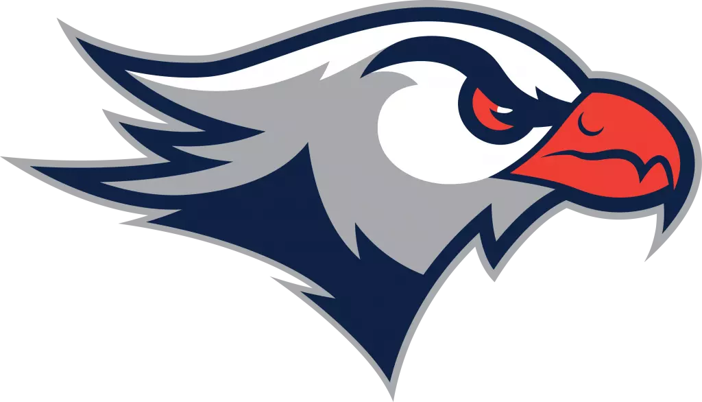 Lackawanna Falcons