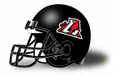 LaGrange Panthers helmet