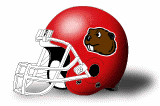 Minot State Beavers helmet