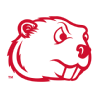 Minot State Beavers