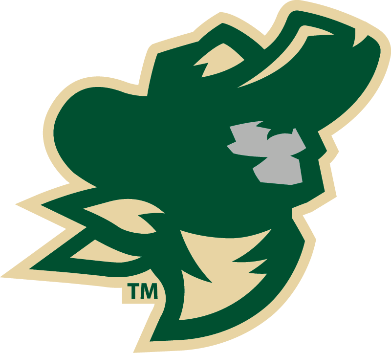 Missouri S&T Miners