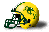 North Dakota State Bison helmet