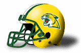 Northern Michigan Wildcats helmet