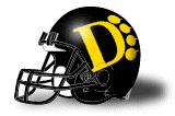 Ohio Dominican Panthers helmet