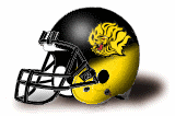 Arkansas-Pine Bluff Golden Lions helmet