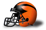 Princeton Tigers helmet