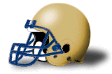 Principia Panthers helmet