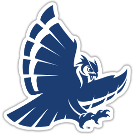 Rice Owls