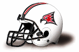 Wisconsin-River Falls Falcons helmet