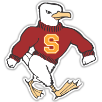 Salisbury Sea Gulls