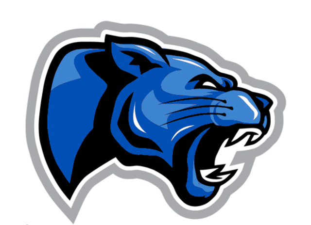 Denmark Tech Panthers