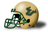 South Florida Bulls helmet