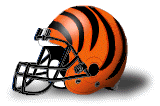 St. Paul's Tigers helmet