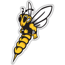 Wisconsin-Superior Yellowjackets