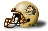 SW Minnesota Mustangs helmet