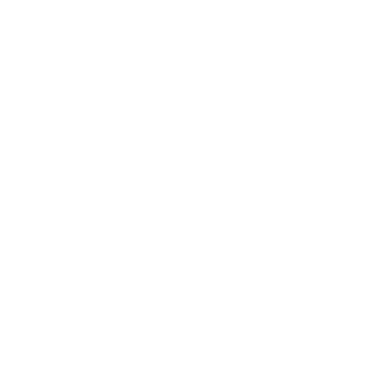 Texas Longhorns