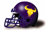 Texas College Steers helmet