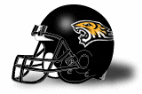 Towson Tigers helmet