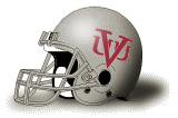 Virginia Union Panthers helmet