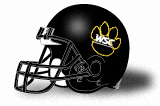 Wayne State (NE) Wildcats helmet