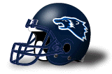 Wesley Wolverines helmet