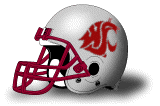 Washington State Cougars helmet
