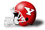 Youngstown State Penguins helmet