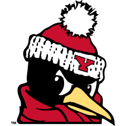 Youngstown State Penguins